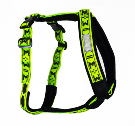 short harnesses
