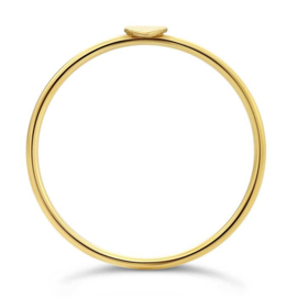 Gold Filled Ring with Heart
