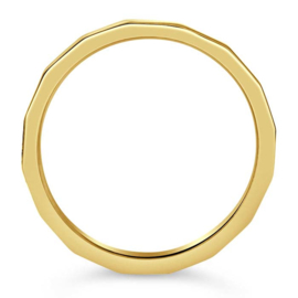 Gold Filled Faceted Ring