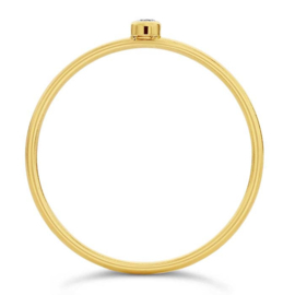 Gold Filled Ring with Zirkonia