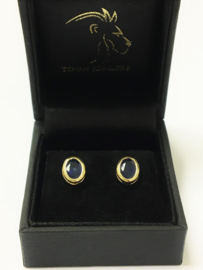 14 K Gouden Oorstekers Facetgeslepen Saffier