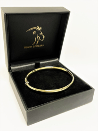 14 Karaat Gouden Slaven Armband Bangle 6 mm / 9,9 g / Nieuw