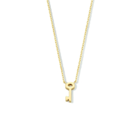 14 K Gouden Anker Collier Vaste Hanger - Sleuteltje 42 / 45 cm (verstelbaar)