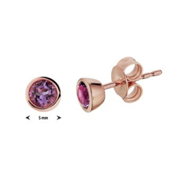 14 K Rosé Gouden Oorknoppen - Amethyst