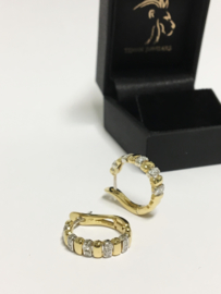 18 K Bicolor Gouden Oorhangers 0.20 crt Briljantgeslepen Diamant H / VS1