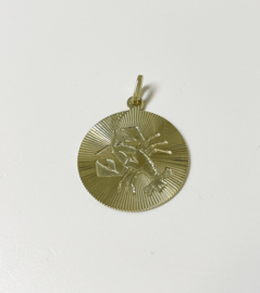 14 K Gouden Ketting Hanger Sterrenbeeld Kreeft - 2,5 cm