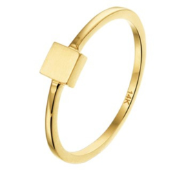 14 K Gouden Ring Vierkant 4 mm  - Mt 17