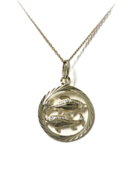14 K Gouden Hanger Sterrenbeeld Vissen - 2,5 cm