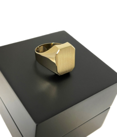 14 Karaat Gouden Heren Zegelring Model 8-Kant Gematteerd - Mt 20