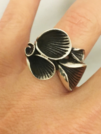 Grote Zilveren Fantasie Ring