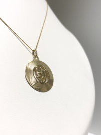 14 K Gouden Hanger Sterrenbeeld Schorpioen - 2 cm