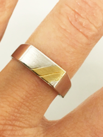 14 K Bicolor Gouden Zegelring (gematteerd)