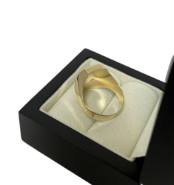 14 Karaat Gouden Heren Zegelring Model 8-Kant Gematteerd - Mt 20