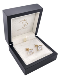 14 K Gouden Oorstekers Heldere Cubic Zirkonia Radiant Cut
