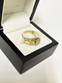 14 K Bicolor Gouden Heren Ring Briljant Geslepen Heldere Zirkonia - Mt 20