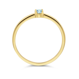 14 K Geelgouden Ring Met Geboortesteen Aquamarijn 0.12 ct - Mt 17