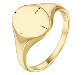 14 Karaat Gouden Dames Zegelring Graveer Ring - Mt 17.25