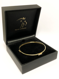 14 K Gouden Slaven Armband Bangle 0.15 crt Diamant G / VVS1 - 10 g