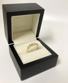 14 K Gouden Rijring Prinses Geslepen Cubic Zirkonia