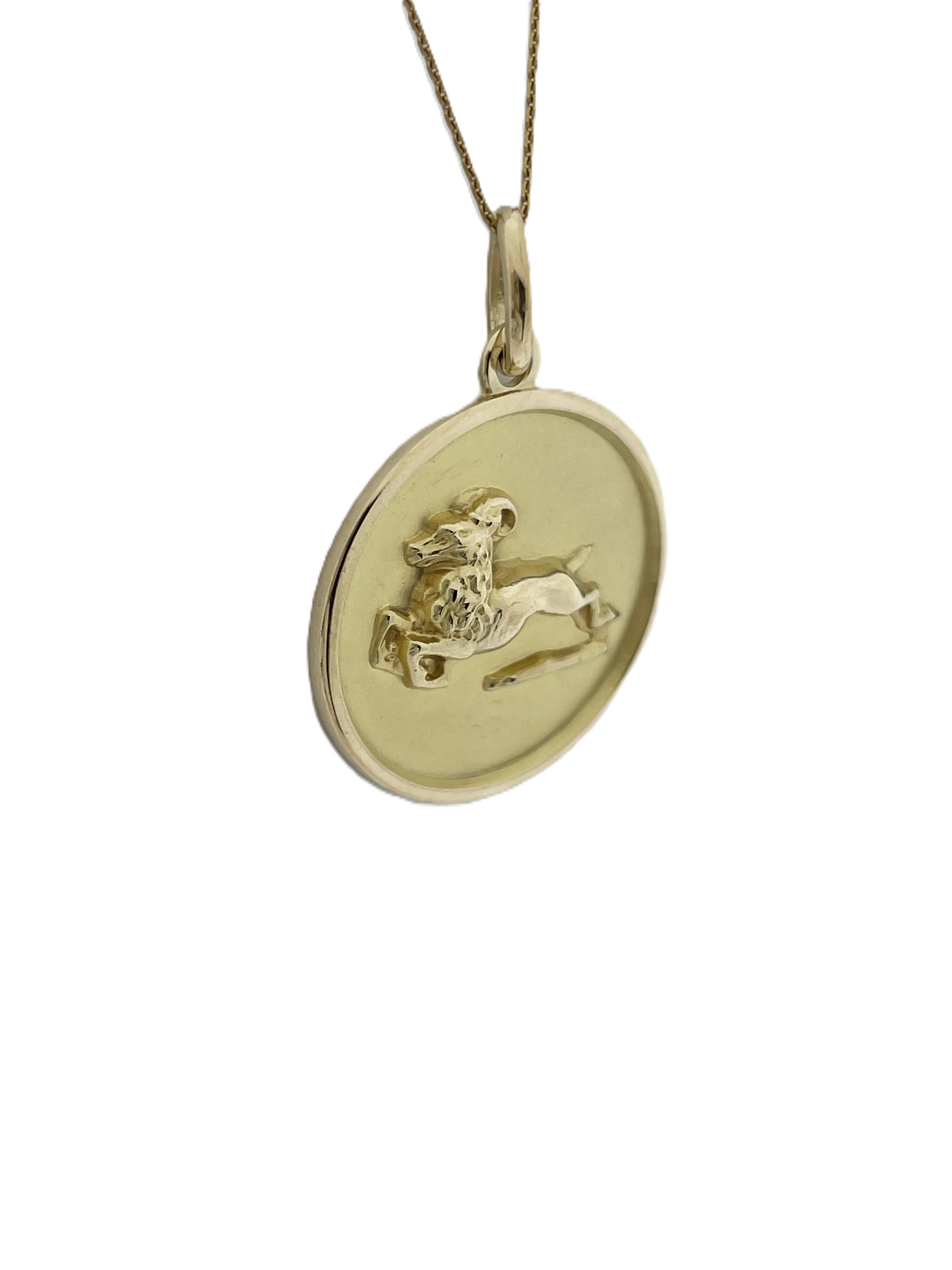 14 Karaat Massief Gouden Sterrenbeeld Ronde Plaat Hanger Steenbok - 3D Verdiept