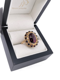 14 Karaat Gouden Entourage Ring Met Facet Geslepen Granaat