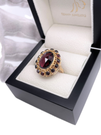 14 Karaat Gouden Entourage Ring Met Facet Geslepen Granaat