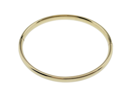 14 Karaat Gouden Slaven Armband / Bangle Draaglengte 19 cm -  12,9 g / 6 mm