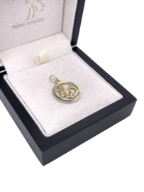 14 Karaat Gouden Hanger Sterrenbeeld Waterman