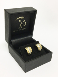 14 K Gouden Oorstekers Prinses Geslepen Zirkonia