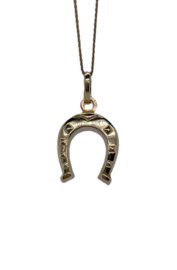 14 Karaat Gouden Ketting Hanger  Hoefzijzer - 2.5 cm