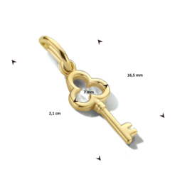 14 Karaat Gouden Hangertje Sleuteltje - 16,5 x 7 mm