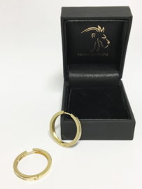 14 K Gouden Creolen Heldere Zirkonia - 2 cm