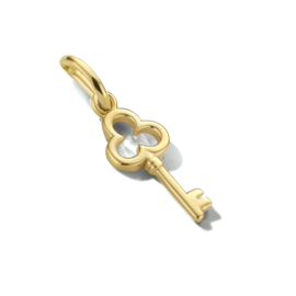 14 Karaat Gouden Hangertje Sleutel - 16,5 x 7 mm