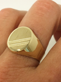 14 K Gouden Heren Zegel Ring (gematteerd)