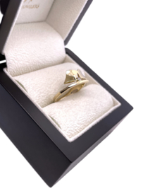 14 Karaat Gouden Fantasie Design Ring 0.02 ct Briljant Geslepen Diamant