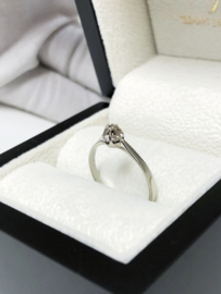 14 Karaat Witgouden Solitair Ring 0.03 ct Briljant Geslepen Diamant H / VS