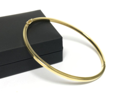 14 K Gouden Slaven Armband (Smal Model) - 18,5 cm / 12,85 g