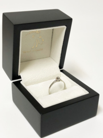 14 Karaat Witgouden Solitair Ring 0.03 ct Briljant Geslepen Diamant H / VS