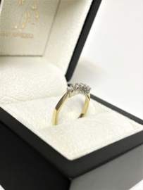 Bicolor Gouden Rijring 0.15 ct Briljant Geslepen Diamant G / VVS