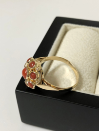 Antiek 14 K Gouden Rozet Ring Gelakt Bloedkoraal
