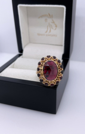 14 Karaat Gouden Entourage Ring Met Facet Geslepen Granaat