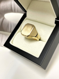 14 Karaat Gouden Heren Ring Model 8-Kant Deels Gematteerd - Mt 21
