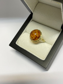 Antiek 14 K Gouden Ring Cabochon Geslepen Barnsteen
