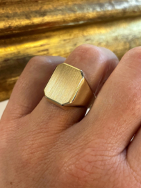 14 Karaat Gouden Heren Zegelring Model 8-Kant Gematteerd - Mt 20