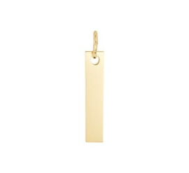 14 K Gouden Graveer Hanger Plaatje - 1,6 cm