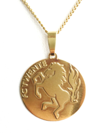 14 K Gouden Hanger - FC Twente