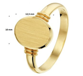 14 K Gouden Zegelring Dames - Mat Gediamanteerd / Mt 17,5