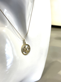 14 Karaat Gouden Hanger Sterrenbeeld Waterman
