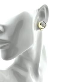 14 Karaat Bicolor Gouden Oorstekers 0.06 ct Briljant Geslepen Diamant 'Slapende Zwaan'