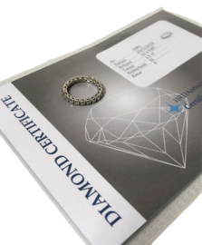 14 K Witgouden Alliance Ring 1,1 ct Diamant F/SI - Inclusief Certificaat